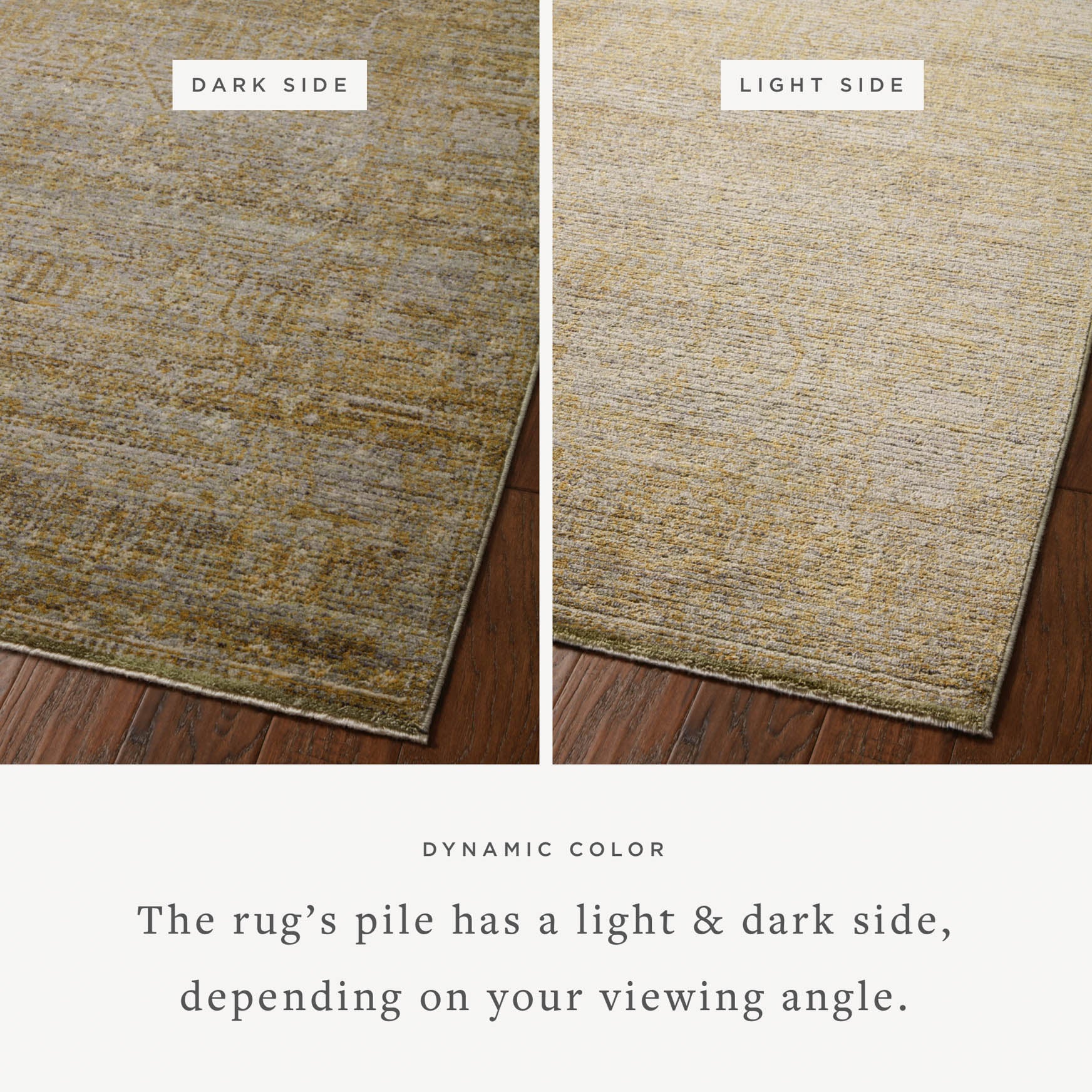 BRU-02 JS DOVE / GOLD - Image 5