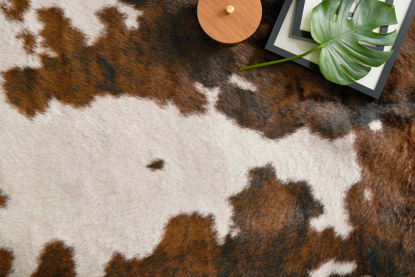 GC-05 BEIGE / BROWN - Image 3