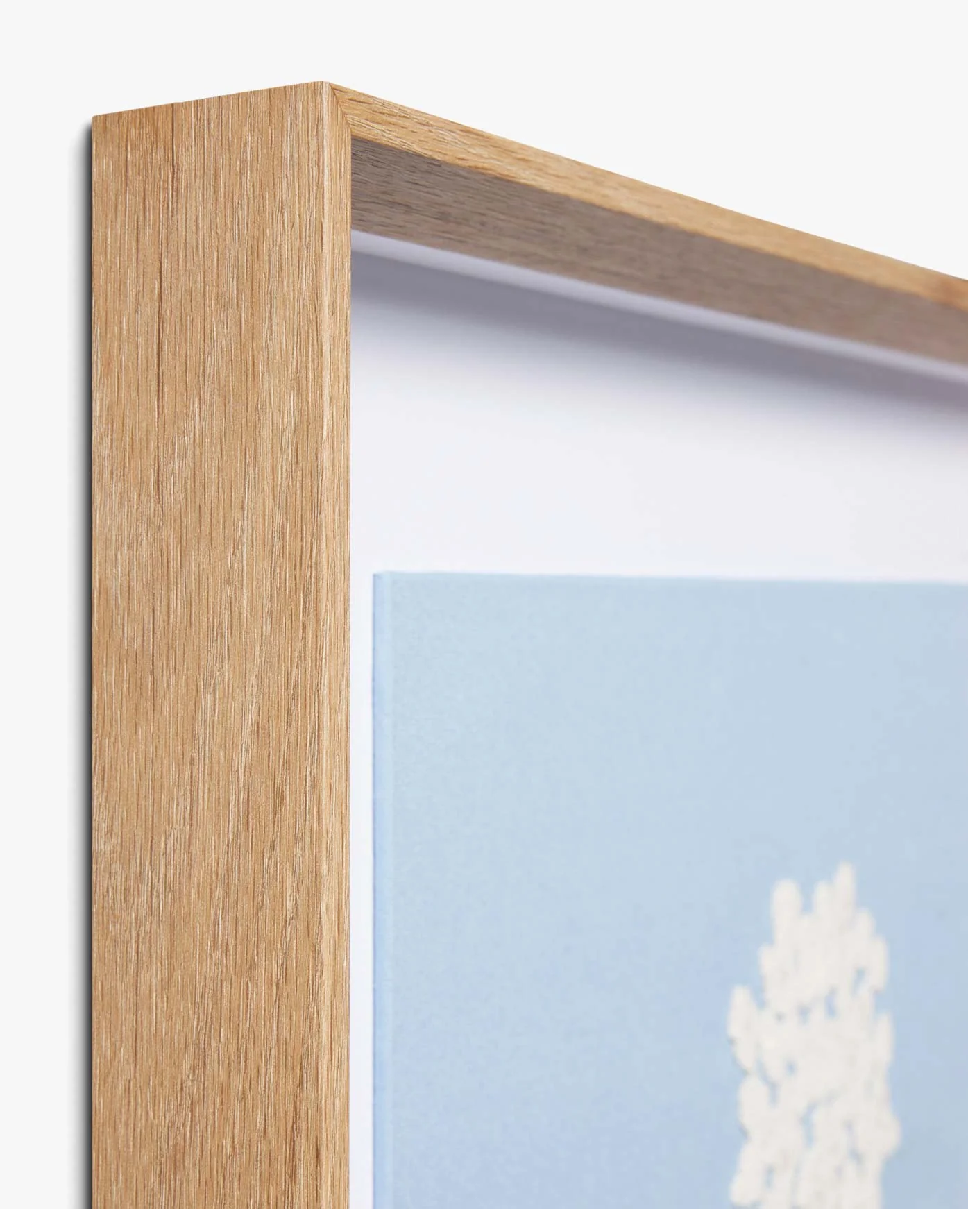 HYDRANGEA BLUE - Image 6