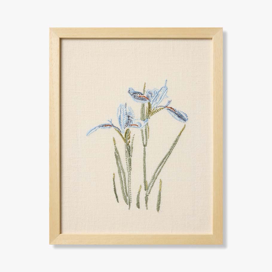IRIS BLUE
