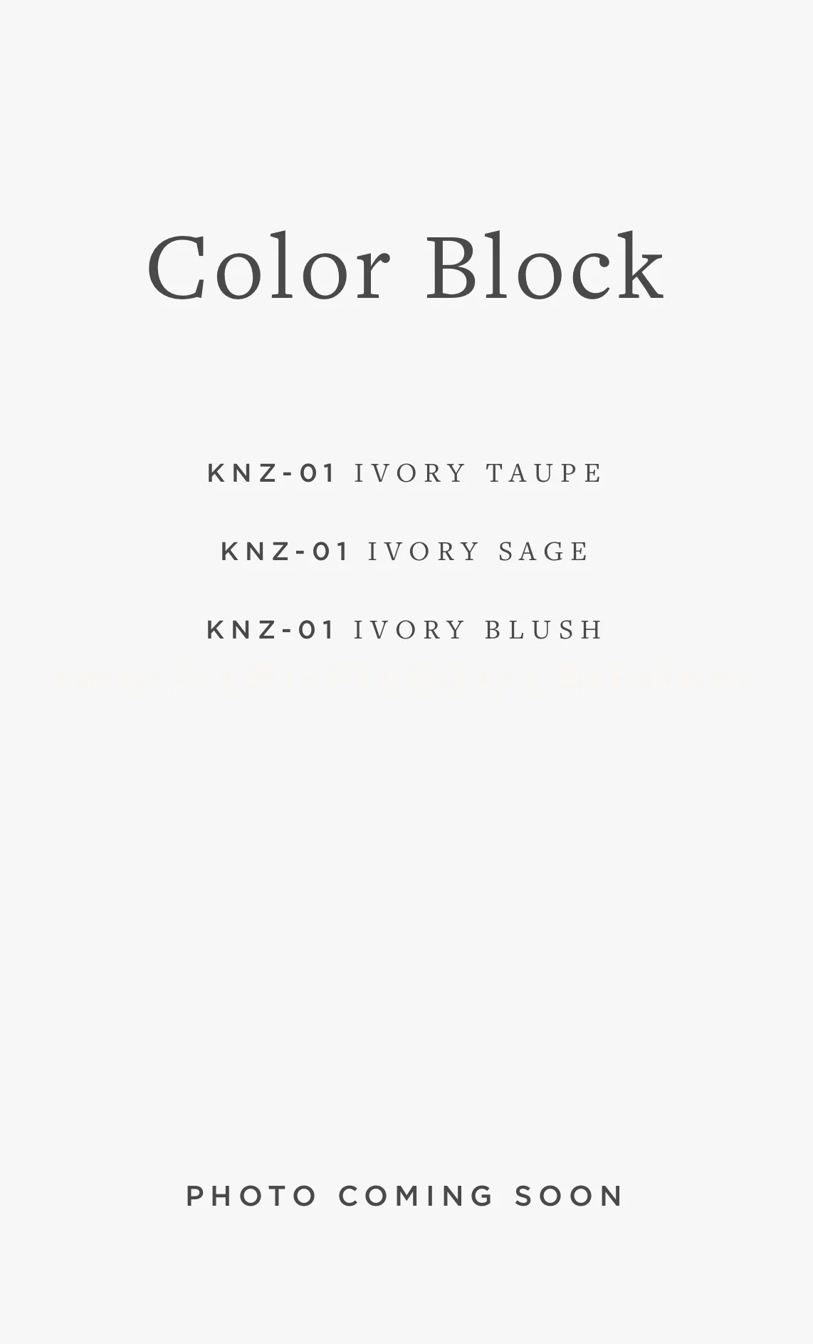 KNZ-01 COLOR BLOCK / 01 - Image 2