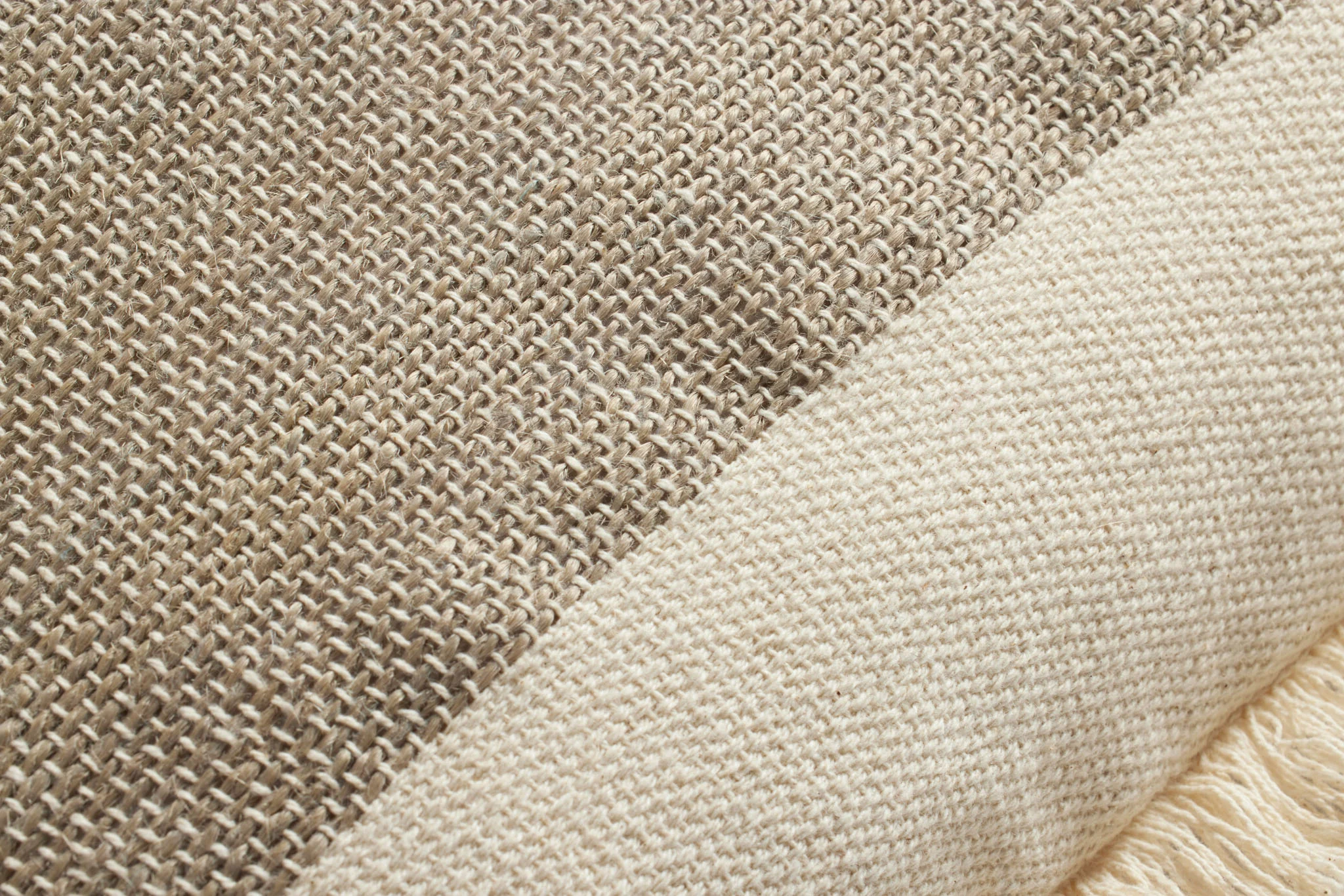SERAPHINA PAL0037 IVORY / EARTH - Image 4