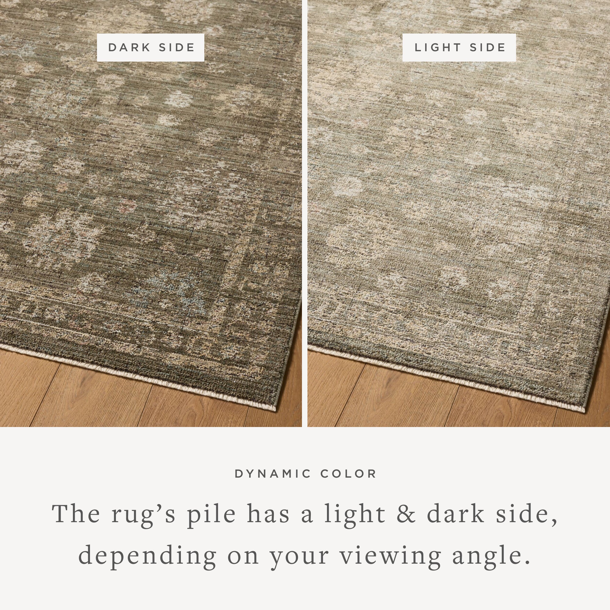 PRL-02 OLIVE / SAND - Image 4
