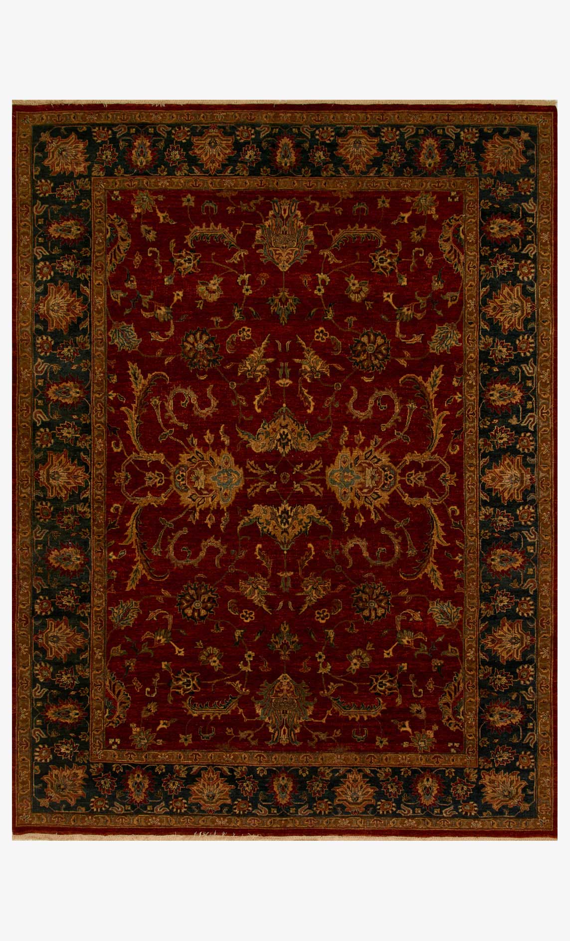 RAINFOREST - Image 16